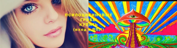 ПСИЛОЦИБИНОВЫЕ ГРИБЫ Галич