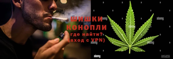 амф Горняк