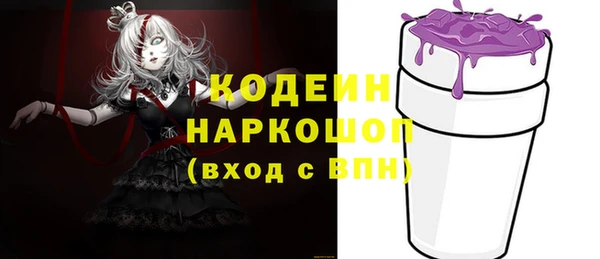 мдпв Горно-Алтайск
