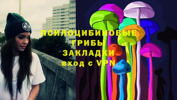 скорость Гатчина