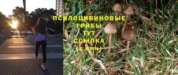амф Горняк