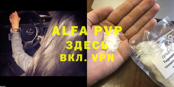 амф Горняк