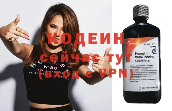 амф Горняк