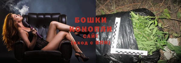 спиды Гвардейск