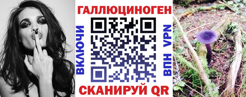 где продают   Емва  Псилоцибиновые грибы Psilocybine cubensis 
