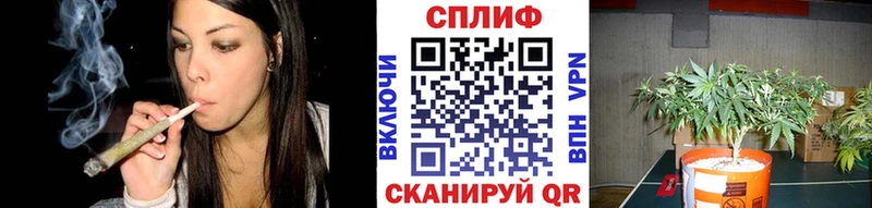 где найти   Емва  Каннабис SATIVA & INDICA 